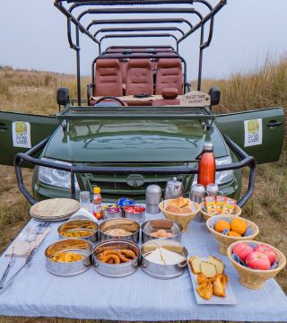 riverside picnic experience