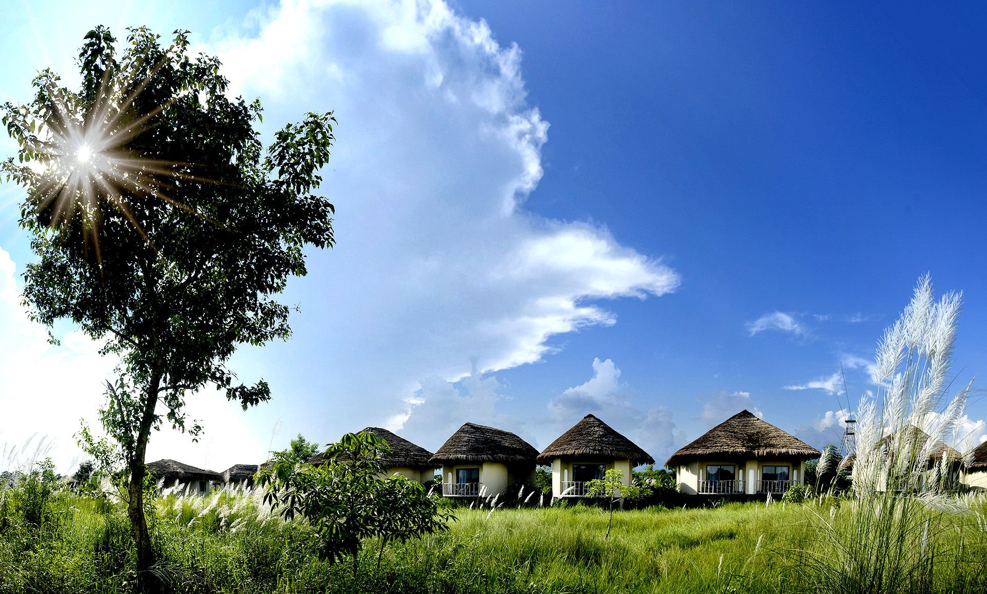 Cottage at Barahi Jungle Lodge in Meghauli, Chitwan