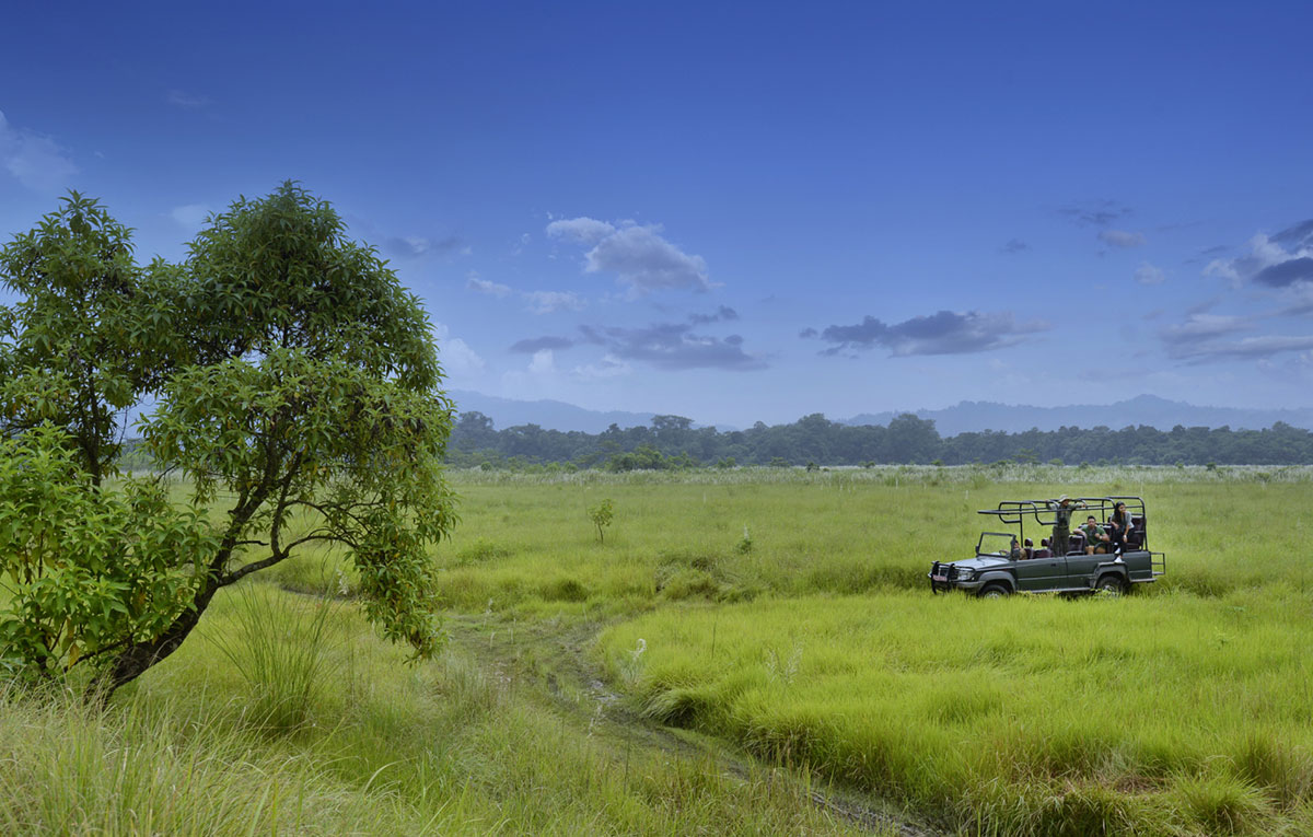 Jungle Safaris in Chitwan National Park