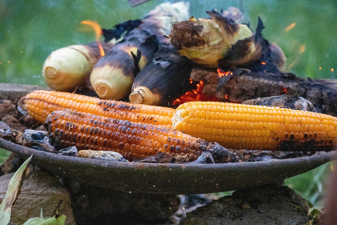 food to try in nepal - roasted corn cob