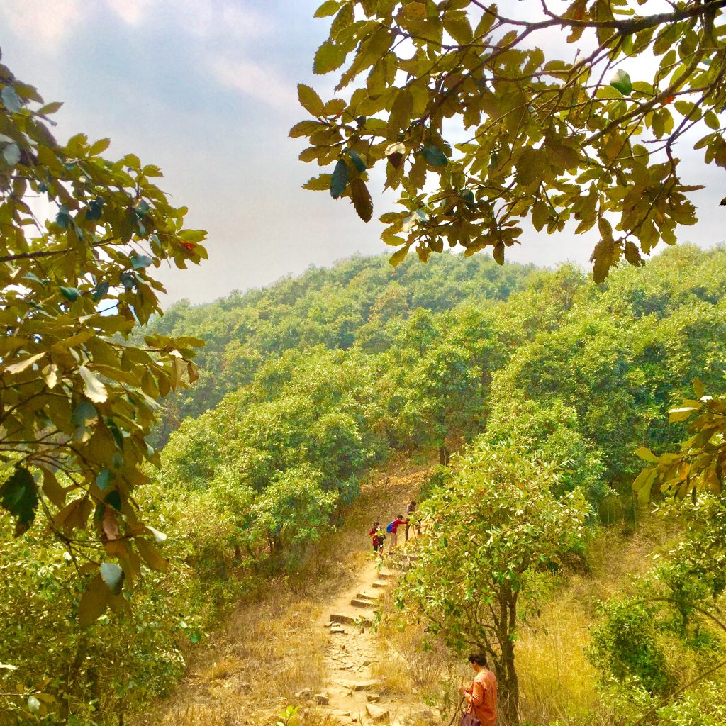 a group trekking in Kathmandu