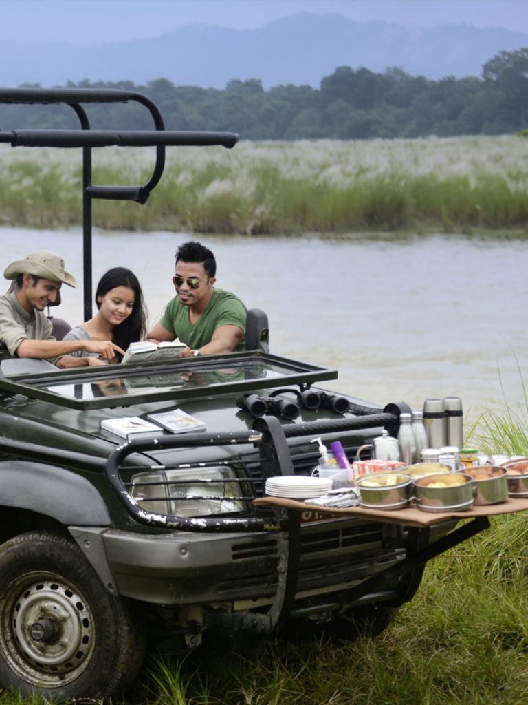 jungle-lodge11