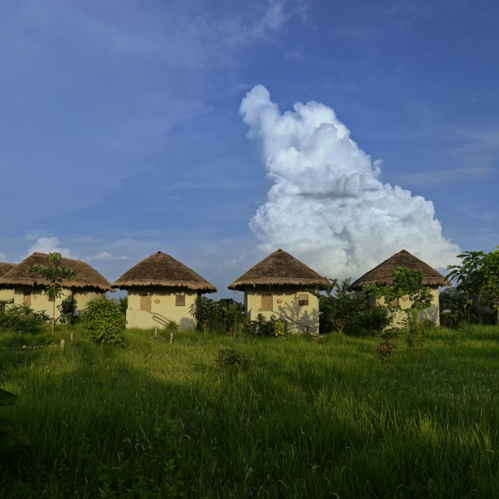barahi jungle lodge photos