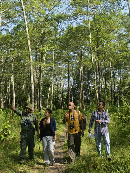walking-safari