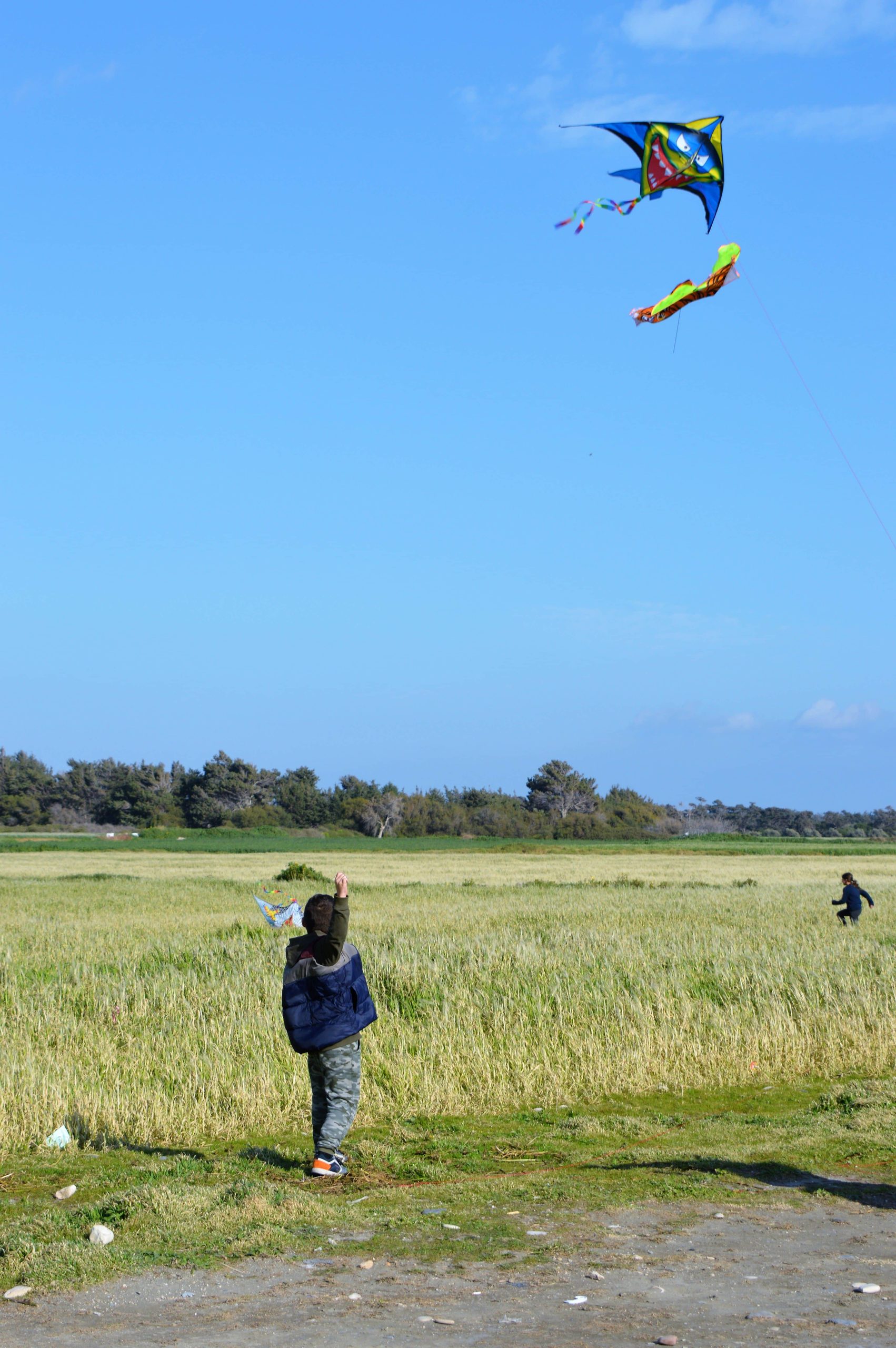 dashain kite flying