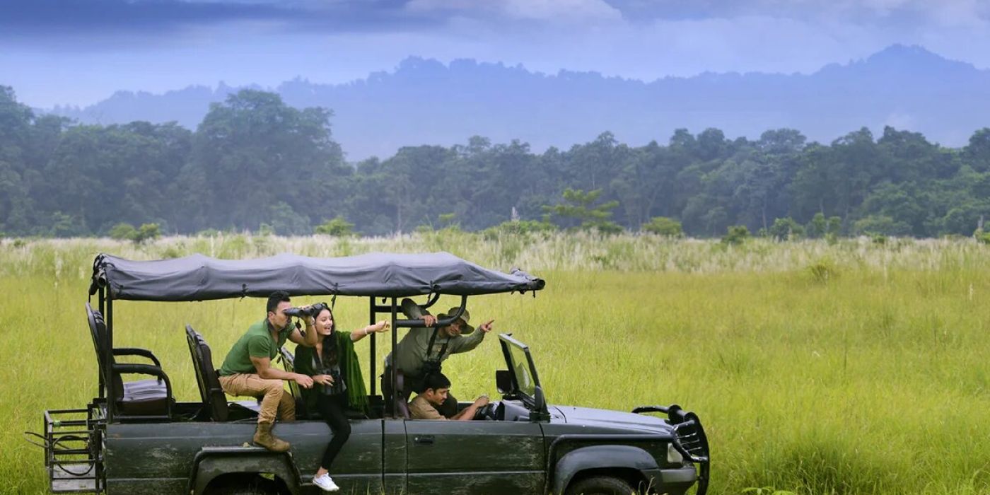 wildlife-safari