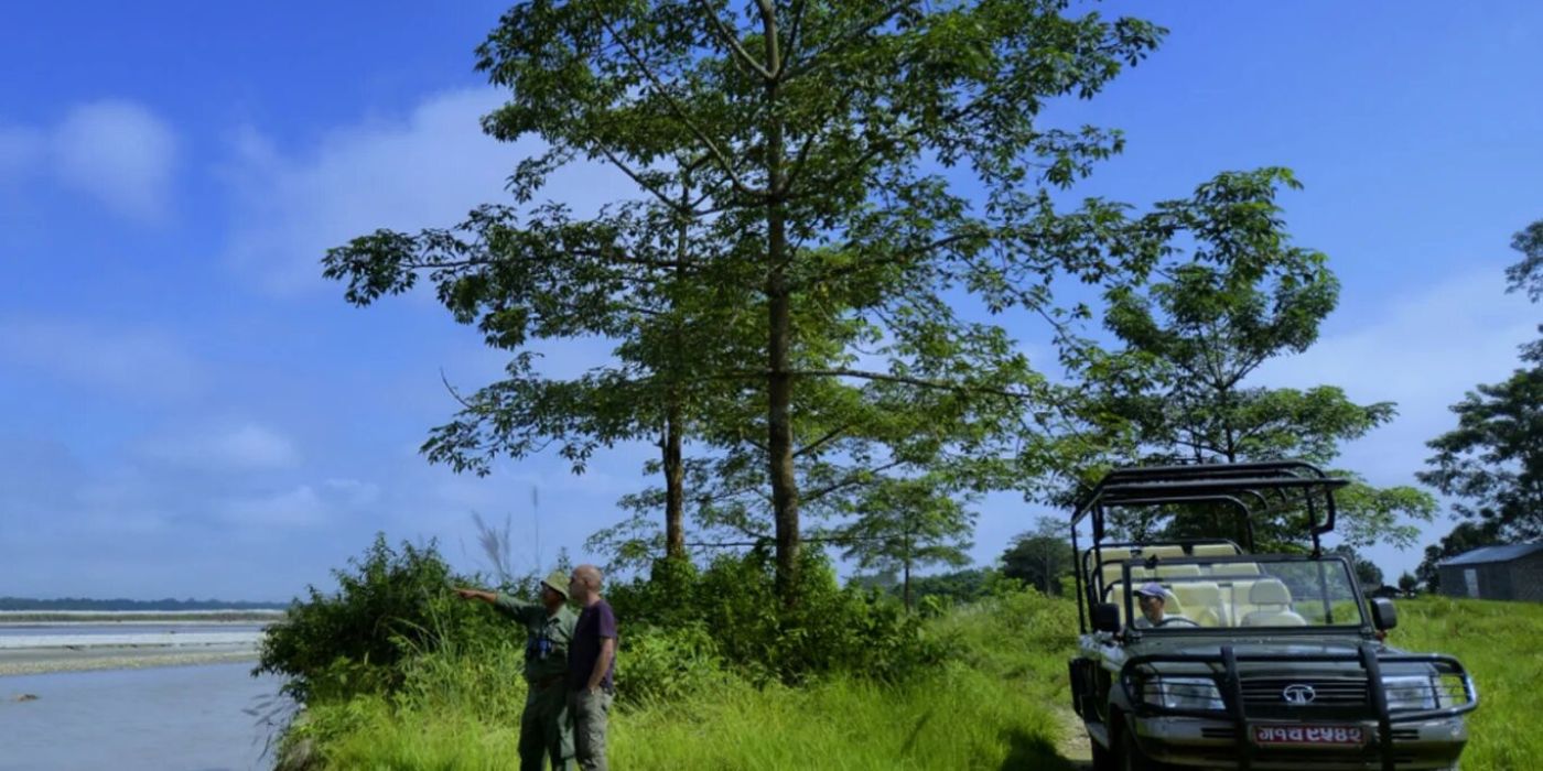 barahi-jungle