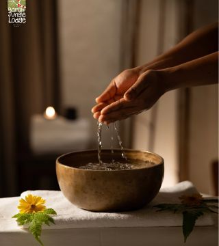 spa_bjl