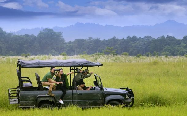 wildlife-safari