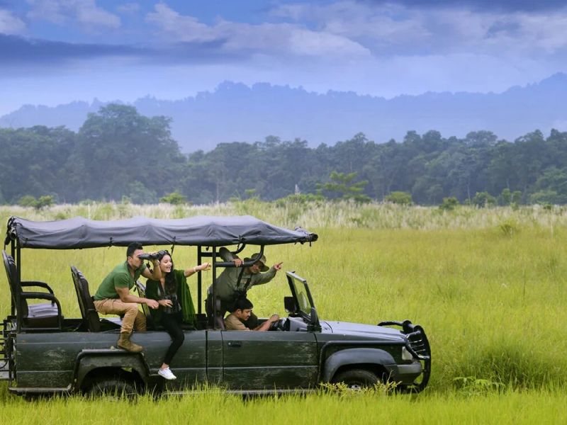 wildlife-safari