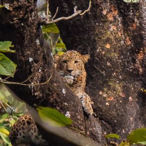 chitwan-national-park-geo